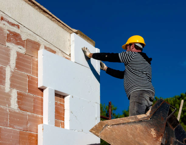 Best Attic Insulation Installation  in Chanhassen, MN